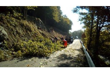 Taglio delle piante lungo la viabilit&#224; stradale