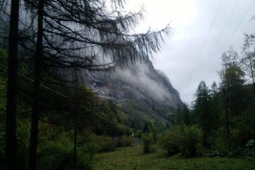 Sfoglia la galleria